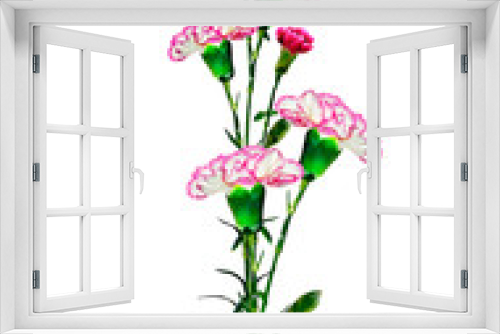 Fototapeta Naklejka Na Ścianę Okno 3D - Bouquet of flowers carnation.