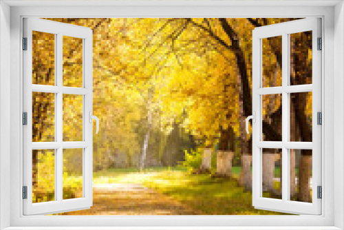 Fototapeta Naklejka Na Ścianę Okno 3D - Autumn alley