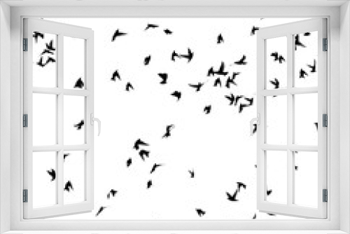 Fototapeta Naklejka Na Ścianę Okno 3D - A flock of migratory birds.