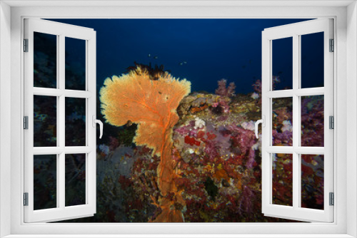 Fototapeta Naklejka Na Ścianę Okno 3D - Colorful Coral Reef